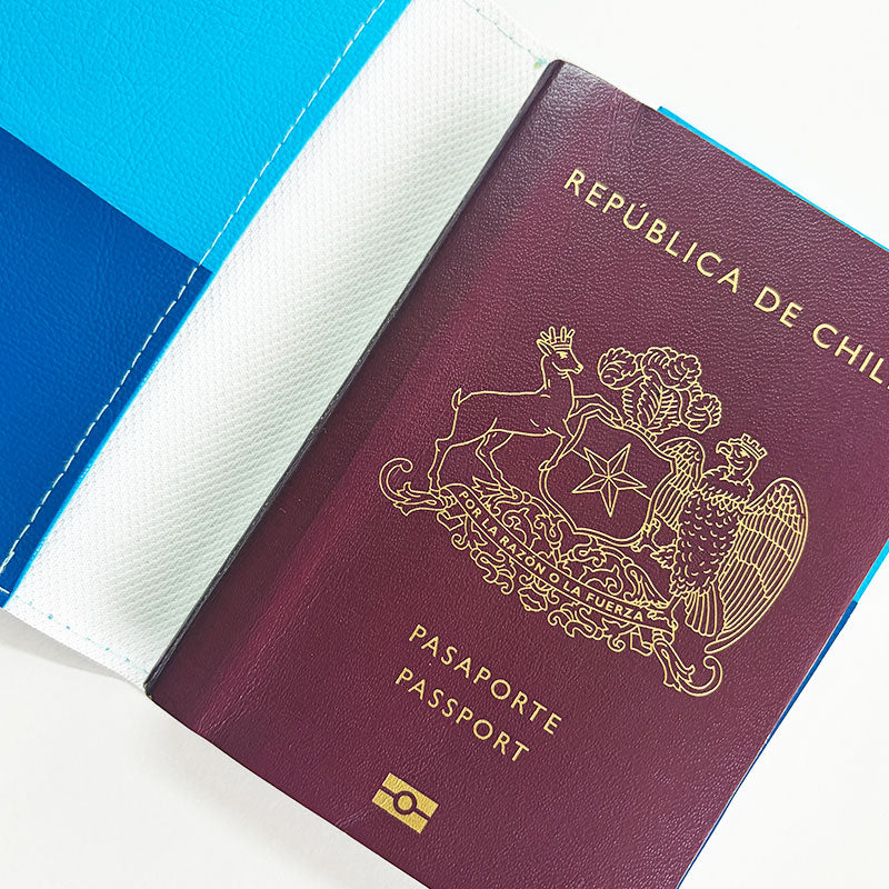 Porta Pasaporte Stitch Fluffy